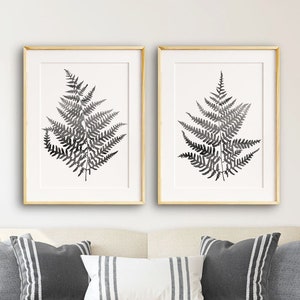Fern Print Black and white, Botanical Leaf Prints Set, Living Room Wall Art, Fern Leaf Illustration, Printed and shipped