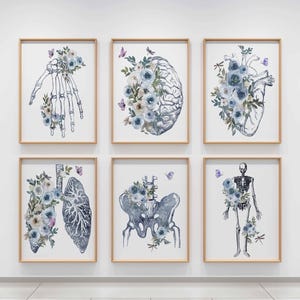 May include: Set of six anatomical illustrations with floral accents. Each print features a different part of the human body, including the hand, brain, heart, lungs, pelvis, and skeleton. The illustrations are done in a watercolor style with blue and purple flowers.