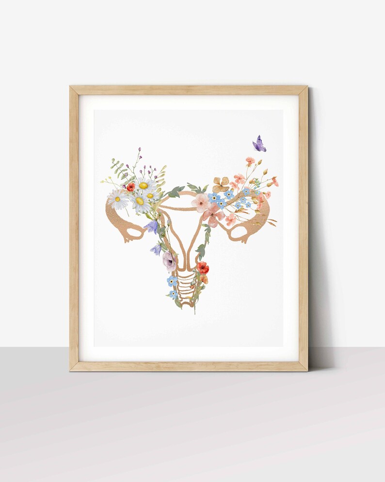Pregnancy Anatomy, Gynaecology Wall Art, Obgyn Print, , Doula Gift, Ob ...