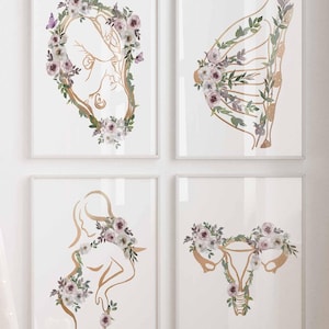 Obgyn Wandkunst, Hebamme Kunstwerk, Gynäkologie Poster, Blumen Gold Druck, Doula Geschenk, Schwangerschaft Anatomie, Arzt Büro Wand Dekoration