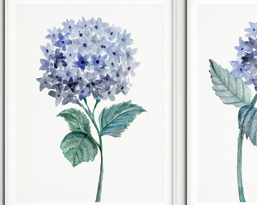 Hydrangea Art Print Set, Blue Botanical Flowers Print Set of 3 ...