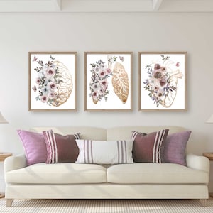 K&ouml;nnte beinhalten: Drei gerahmte Drucke mit anatomischen Illustrationen von Gehirn, Lunge und Herz, jeweils verziert mit zarten Aquarellblumen in Rosa-, Lila- und Wei&szlig;t&ouml;nen.