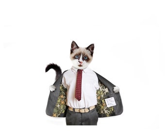 Cute Kitty