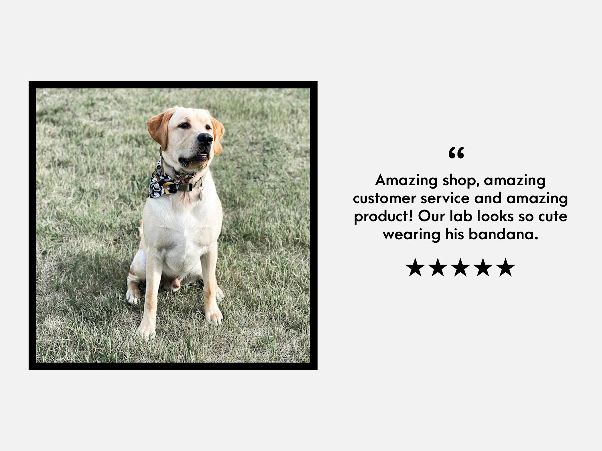 Adorable deplorable cheap dog bandana