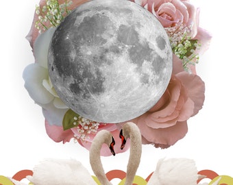 May Moon