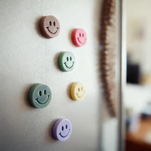 Op de afbeelding: Een verzameling kleurrijke smiley-magneetjes in bruin, roze, groen, geel en paars. De ronde magneten zijn bevestigd op een zilveren koelkastdeur. De smiley's hebben een eenvoudig, klassiek ontwerp.