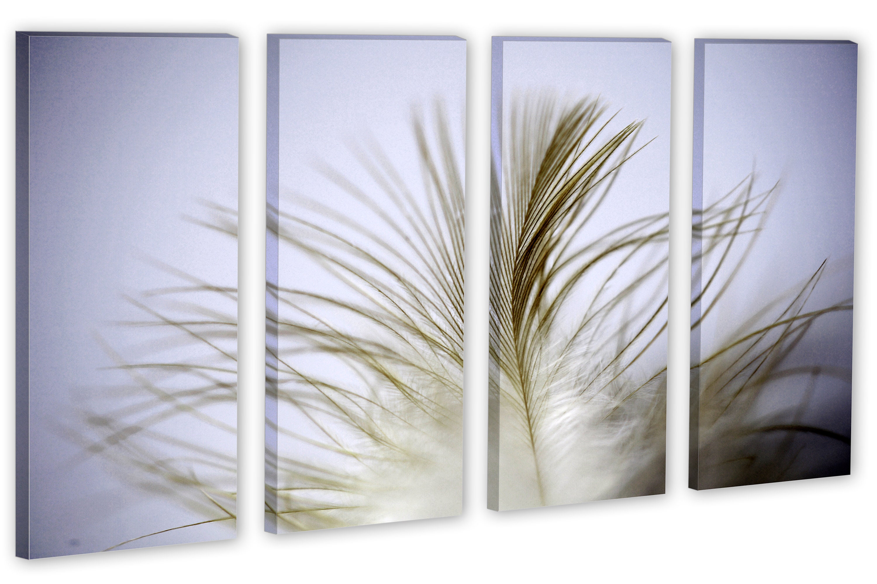 Feather Canvas Print Wall Art 3 Panel Split Triptych. Wall - Etsy
