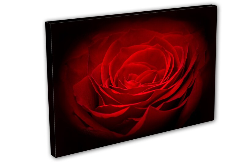 Red Rose Flower Canvas Print Wall Art 3 Panel Split, Triptych. Wall