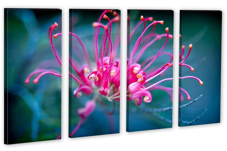 Pink Purple Flower Wall Art Canvas Print 3 Panel Split, Triptych. Wall