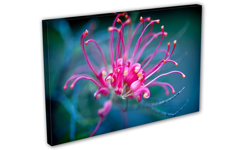 Pink Purple Flower Wall Art Canvas Print 3 Panel Split, Triptych. Wall