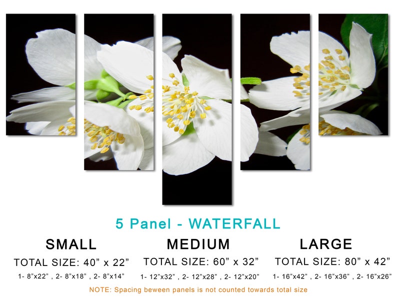 Jasmine Flower Blossom Wall Art Canvas Print 3 Panel Split Etsy
