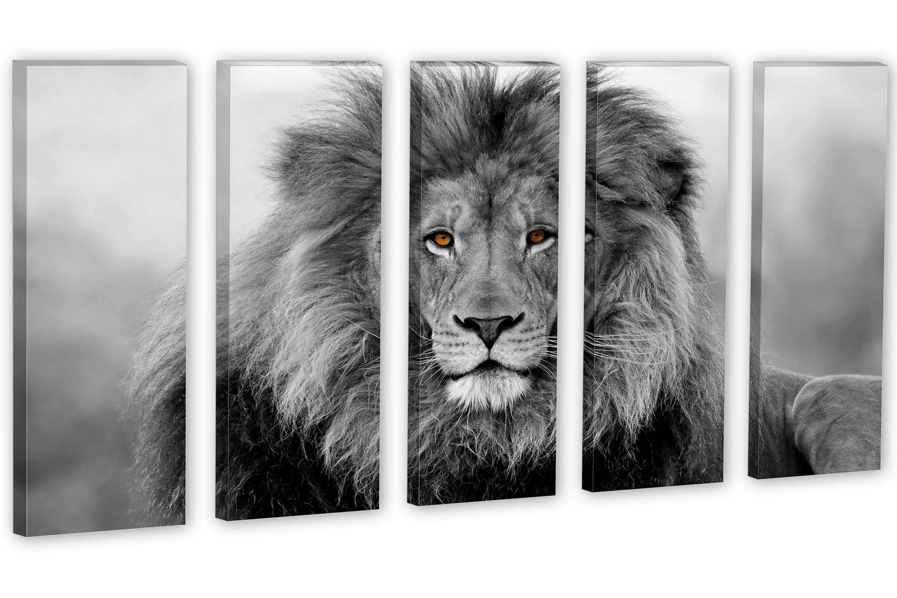 African Lion Wall Art Canvas Print Black & White 3 Panel Etsy