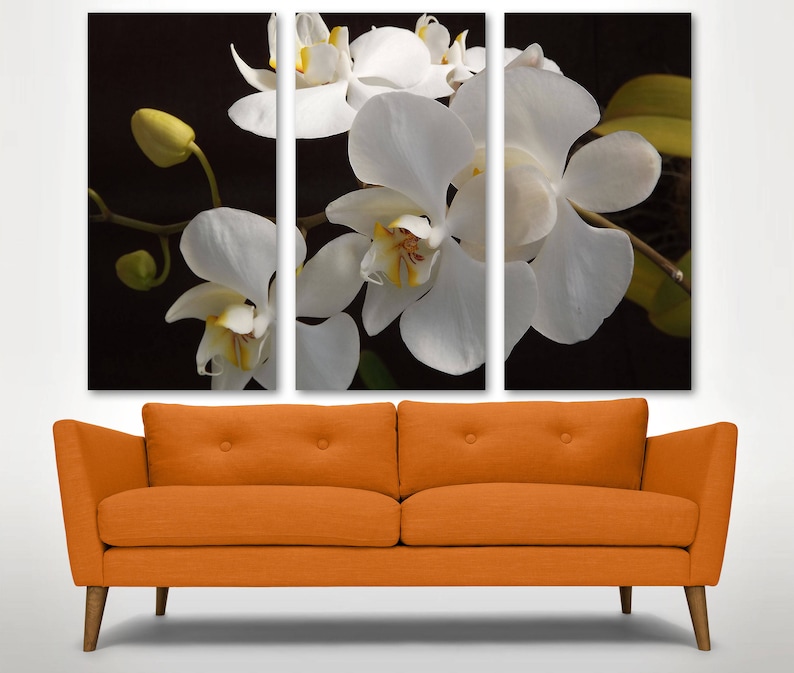 White Orchid Wall Art Canvas Print 3 Panel Split Triptych Etsy