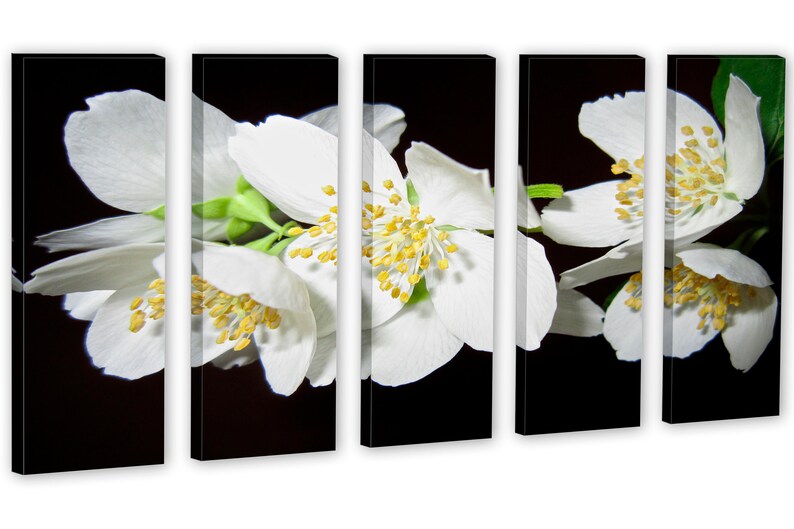 Jasmine Flower Blossom Wall Art Canvas Print 3 Panel Split Etsy