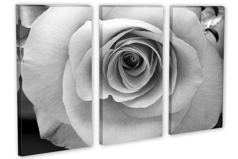 Black & White Rose Flower Canvas Print Wall Art 3 Panel Etsy