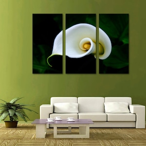 Calla Lily Flower Wall Art Canvas Print - 3 Panel Split, Triptych. Wall Decor, Home Decor, Living Room decoration, Interior design