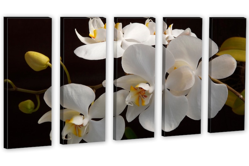 White Orchid Wall Art Canvas Print 3 Panel Split Triptych Etsy