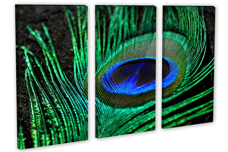 Peacock Feather Canvas Print Wall Art 3 Panel Split - Etsy