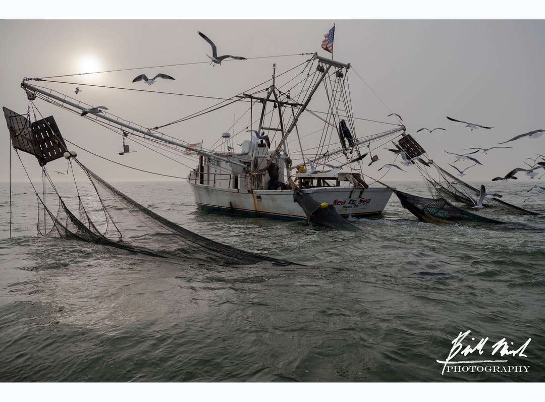 Sea Shrimp Trawls For Sale Trawl Gear Shrimp Trawl Doors For Sale