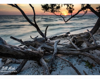 Sanibel Sunrise” – Driftwood Beach at Dawn, Fine Art Coastal Print
