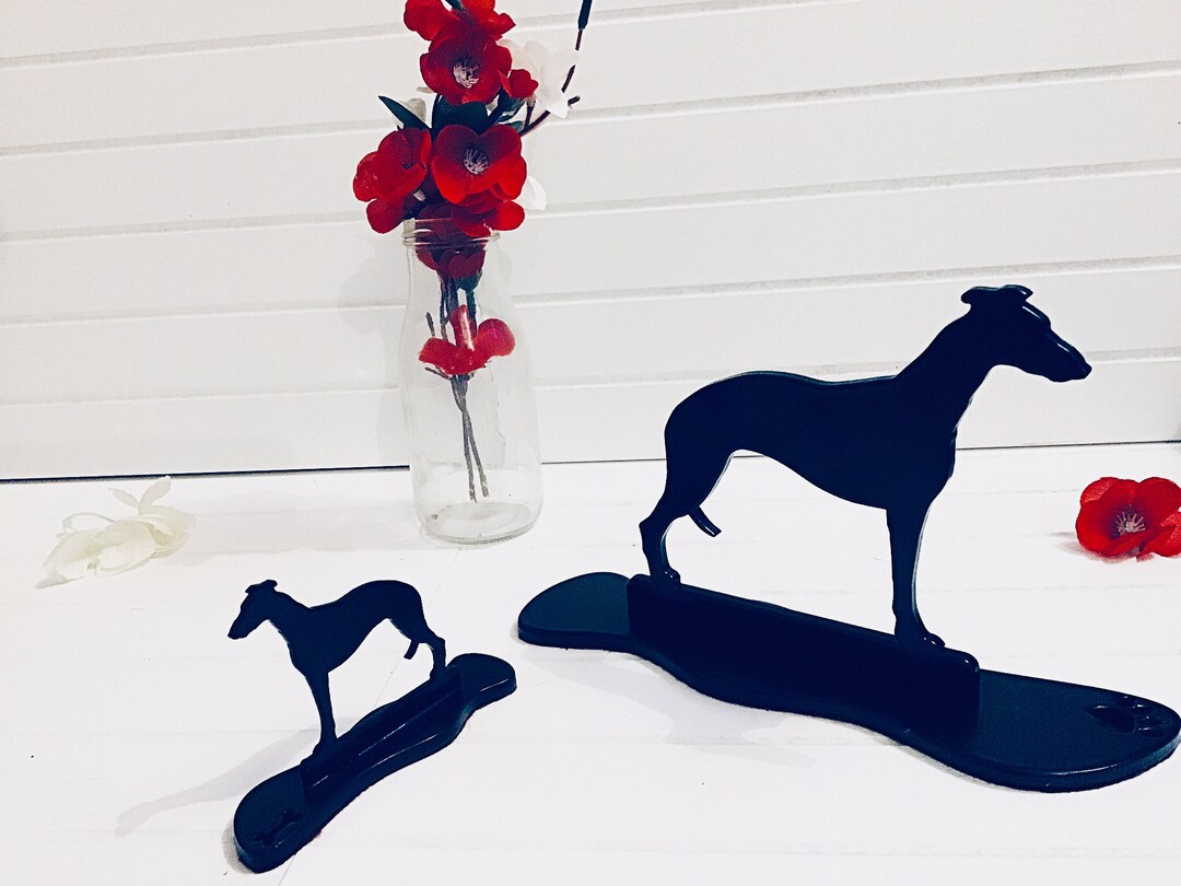 Greyhound