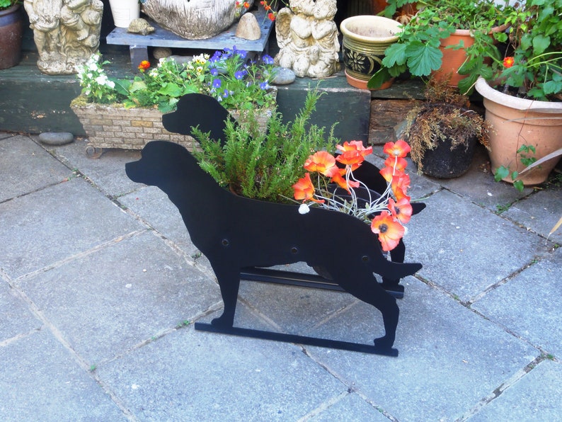 Metal Rottweiler Planter Flowerpot Holder Decorative Plant Pot Display Unique Outdoor Garden Silhouette Floral Decoration image 4