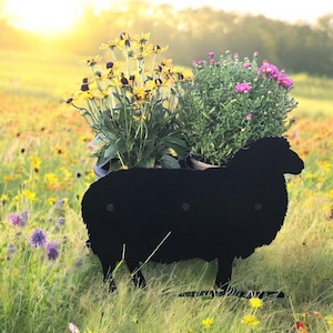 Vaso da fiori in metallo a forma di pecora nera: portavaso da giardino in stile fattoria