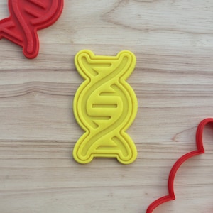 Könnte beinhalten: Gelber Plastik-Ausstecher in Form einer Doppelhelix-DNA-Strang. Der Ausstecher befindet sich auf einer Holzoberfläche.