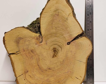 Rustic Wood Slice Irregular Shape for Wedding Decor Statue Base