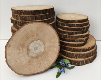 OAK wood Slices Wooden Pyrography art Natural  logs Discs Large Recycled Rustic Round Christmas Craft Decor SUSTAINABLE