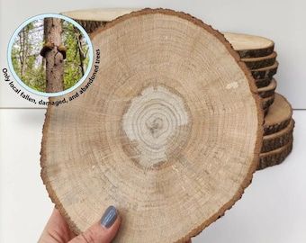 Hardwood Slices Rustic Wood Discs for Pyrography Art