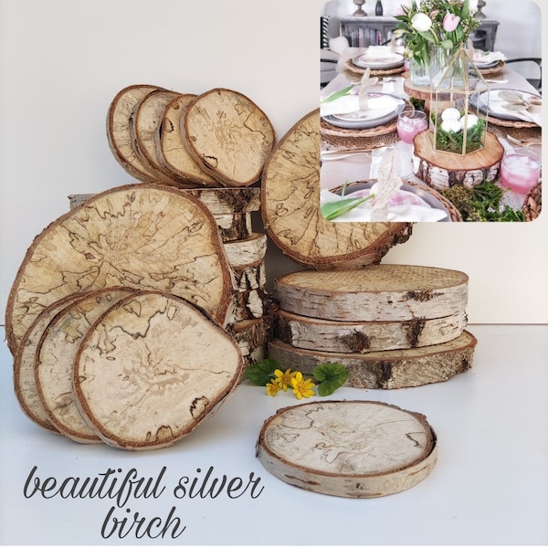 Silver Birch wooden Slices White wood 1pc 7-23cm (3-9inches) Discs Rustic Wedding Table Centerpiece Craft Material Decor Natural logs