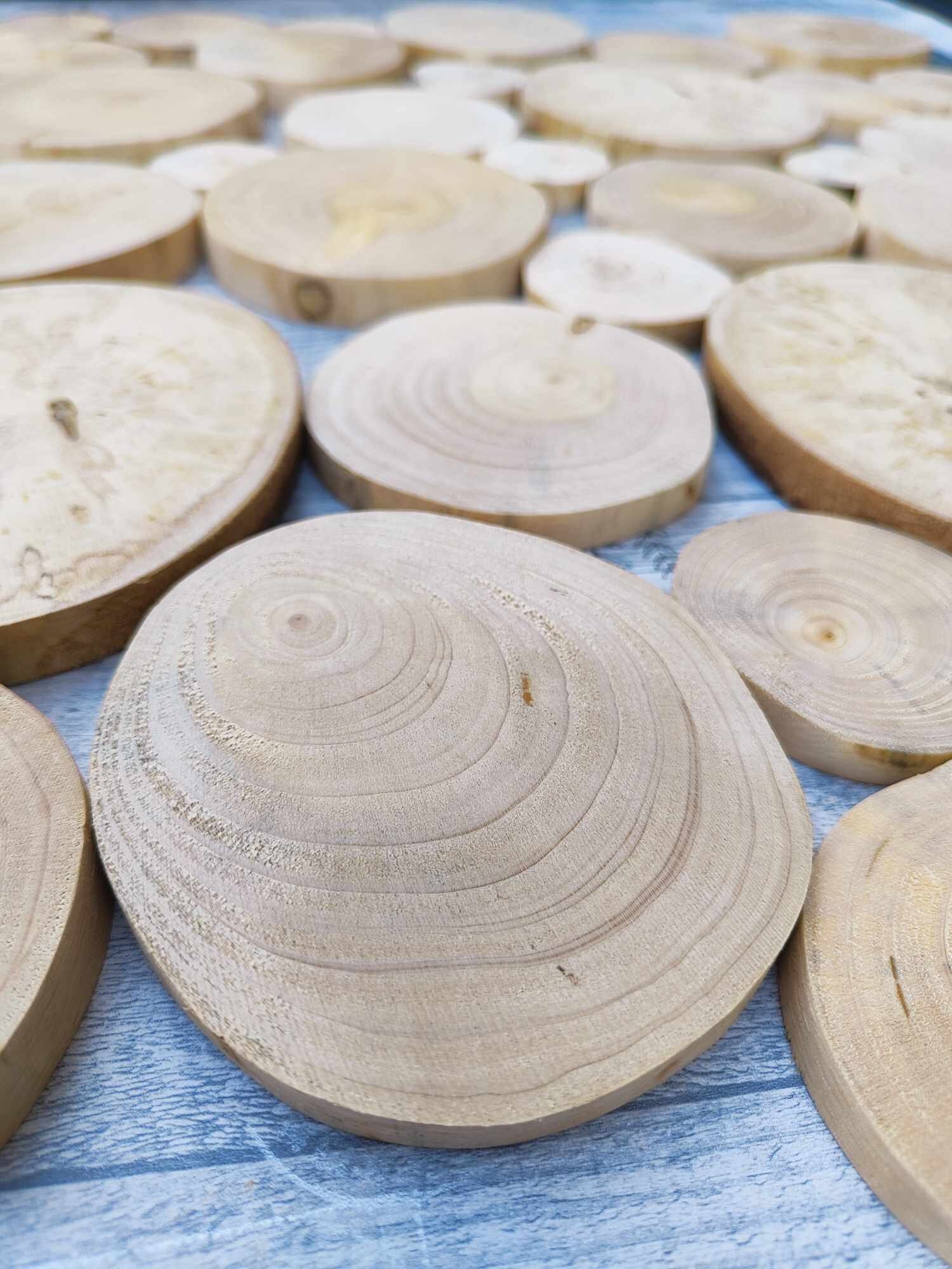 Rustic Log Slice Rustic Conifer Log Slice Set Natural Wood Discs for Crafts & Decor ...