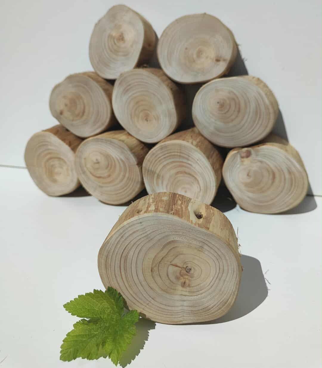 Rustic Log Slice Rustic Conifer Log Slice Set Natural Wood Discs for Crafts & Decor ...