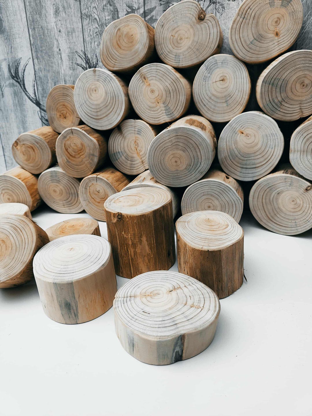 Rustic Log Slice Rustic Conifer Log Slice Set Natural Wood Discs for Crafts & Decor ...