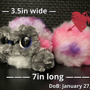 May include: A handmade plush toy with a gray head, white fur, and large blue eyes. The toy has a pink and purple tail with a white and pink heart with an arrow through it. The toy is 3.5 inches tall, 3.5 inches wide, and 7 inches long. DOB: January 27, 2023
