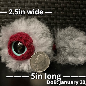 May include: A gray and red fuzzy toy with a large eye, measuring 2.5 inches tall and 5 inches long.  The toy is next to a US quarter for size reference.  DOB: January 20, 2023
