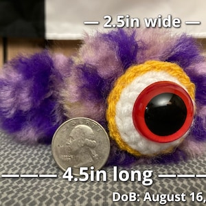 May include: A purple and pink fuzzy crocheted toy with a large red eye and a yellow crocheted rim. The toy is 4.5 inches long, 2.5 inches wide, and 2.5 inches tall. DoB: August 16, 2022