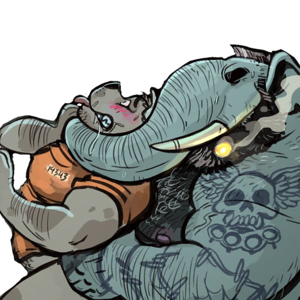 Elephant Dad Stank