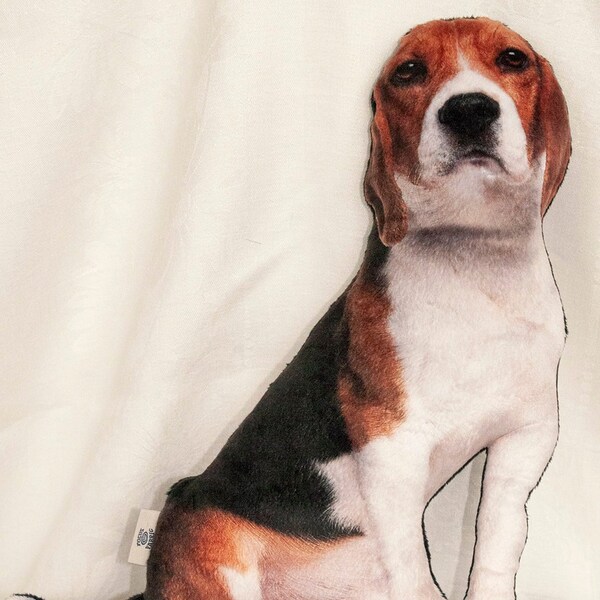 cuscino Beagle, cuscino plushy, minky beagle, cane cuscino, cuscino di amante del cane, regalo amante del cane