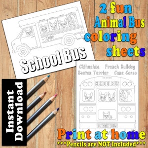 2 Animal School Bus Coloring Sheets. Instant Download! Cat, French Bulldog, Boston Terrier, Chihuahua, Cane Corso. Coloring Pages. Dog Art.