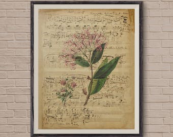 Music Sheets, Vintage Music Sheet, Vintage Flower, Musical Notes, Old Music Sheet, Music Room Decor, Musical Notes, Vintage Art, Art Print