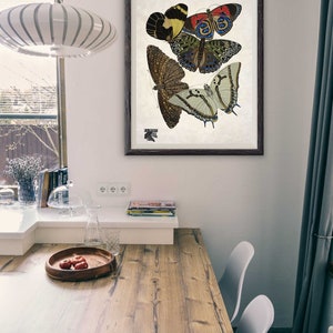 Könnte beinhalten: Ein gerahmter Druck mit drei Schmetterlingen mit filigranen Mustern und leuchtenden Farben. Die Schmetterlinge sind in einer dreieckigen Form angeordnet, wobei der größte Schmetterling oben und der kleinste unten ist. Der Druck ist auf weißem Hintergrund und hat einen dunkelbraunen Rahmen.