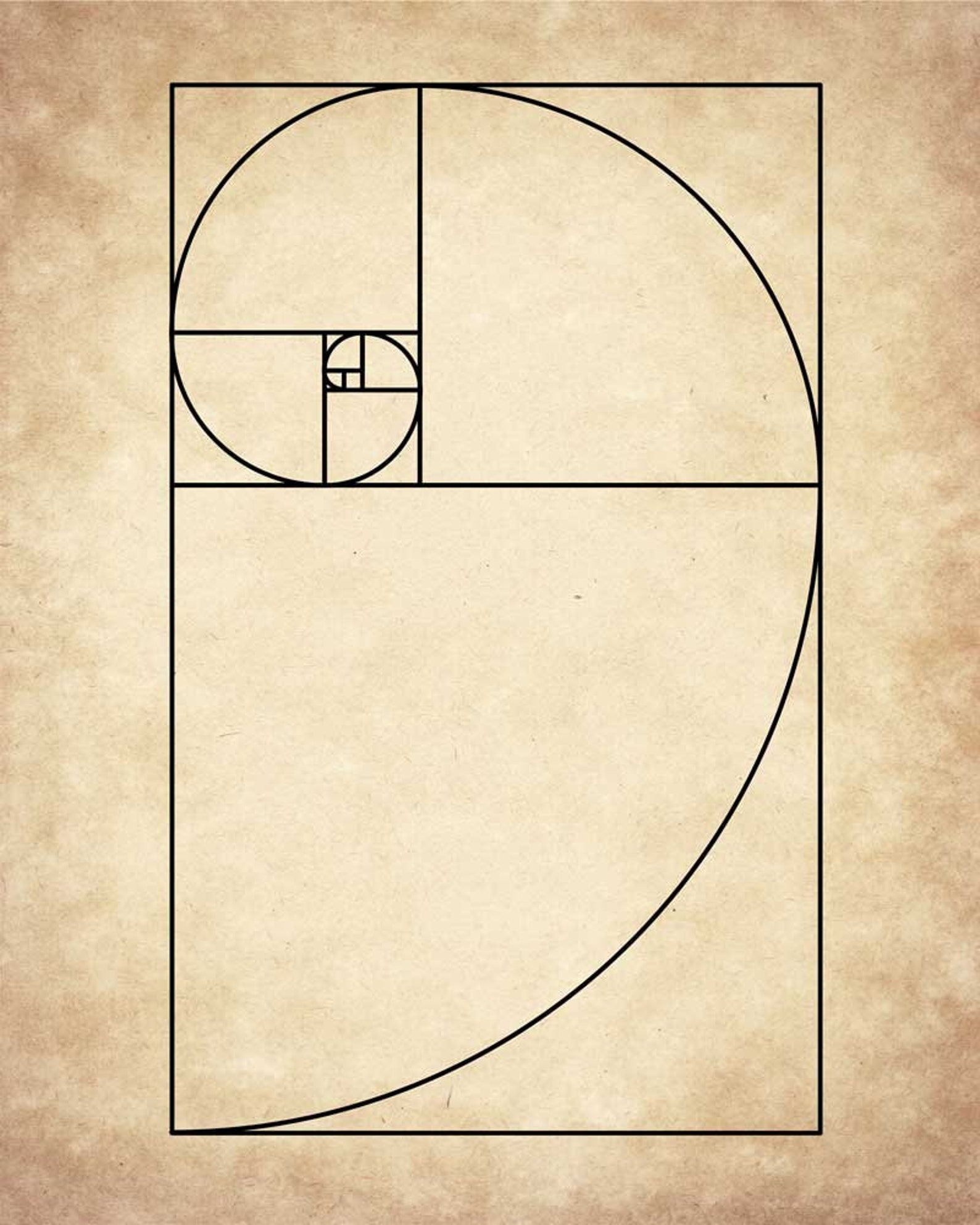 Fibonacci Spiral Golden Ratio Wall Art Mathematics Fibonacci - Etsy