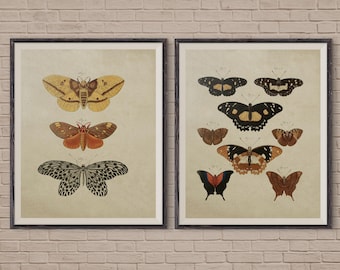 Butterfly Art Print Set of 2, Vintage Butterfly, Butterfly Art, Butterfly Poster, Butterfly Print, butterfly art print, butterfly wall art