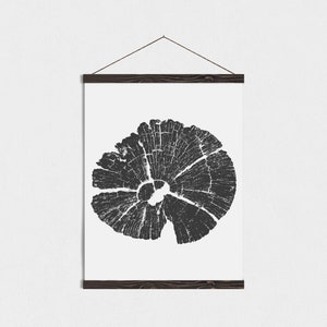 Tree Ring Canvas Magnetic Framed Art