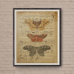 Vintage Music Sheet, Music Sheets, Butterfly Art, Musical Notes, Old Music Sheet, Music Room Decor, Musical Notes, Vintage Art, Art Print