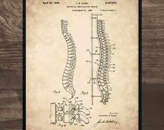 Anatomy print, anatomy art, Skeleton, vintage skeleton, skeleton print, anatomy poster, human body, medical print, vintage anatomy