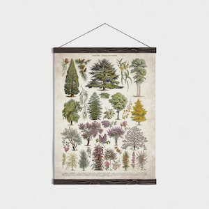 Stampa Foresta, Larousse, Appendiposter, Acquerello Stampa Forest con Cornice Magnetica Appesa / Acquista ora!