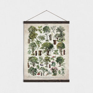 Forest Print, Larousse, Poster hanger, Watercolor Forest print with Wood Magnetic Frame | Shop now!